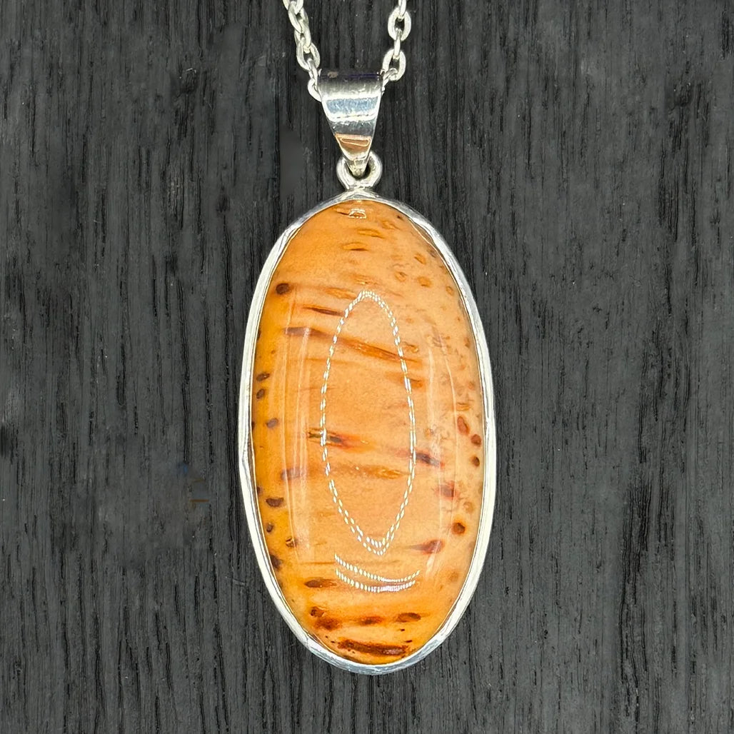 Petrified Wood Pendant