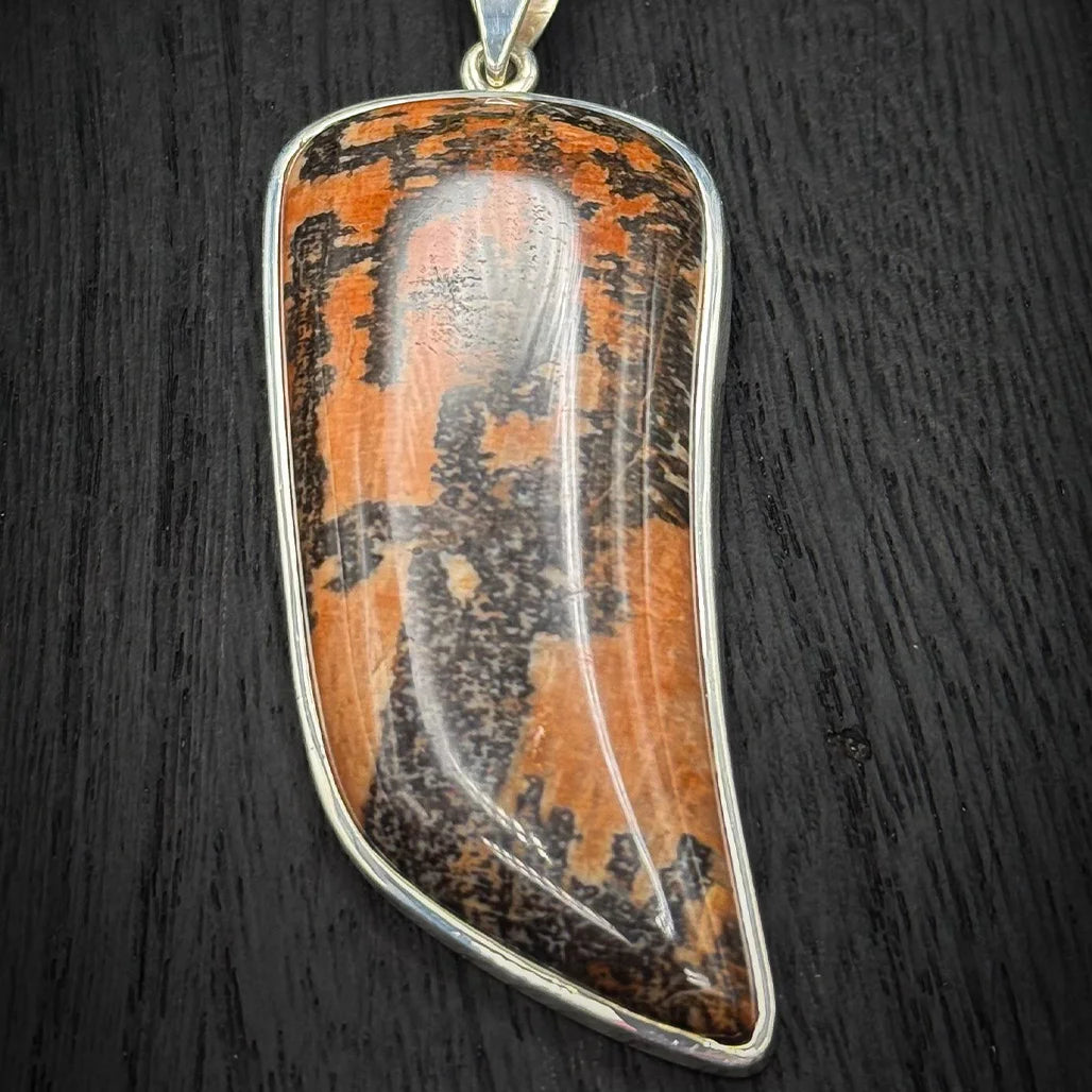 Petrified Wood Pendant