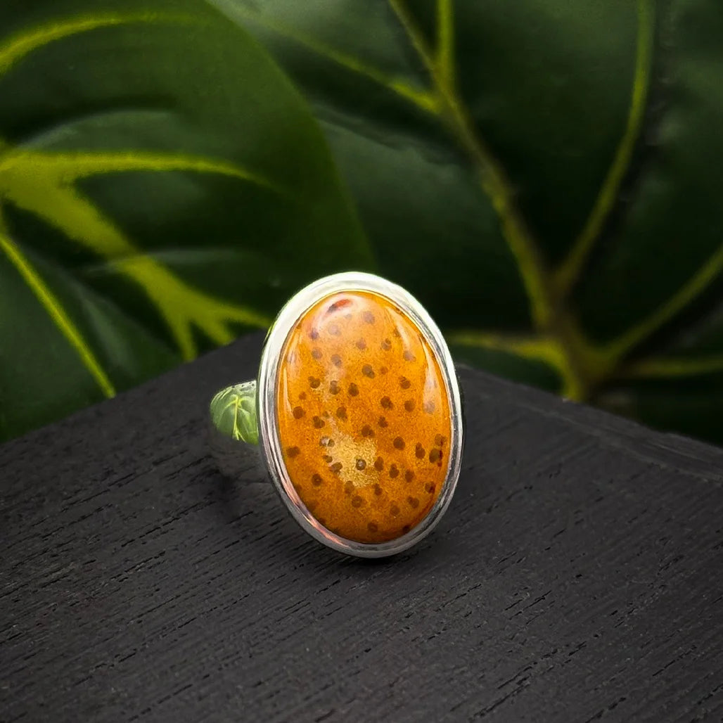 Petrified Palm Wood Ring