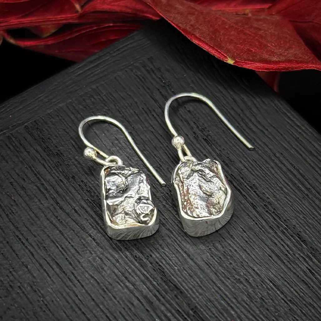 Meteorite Earrings