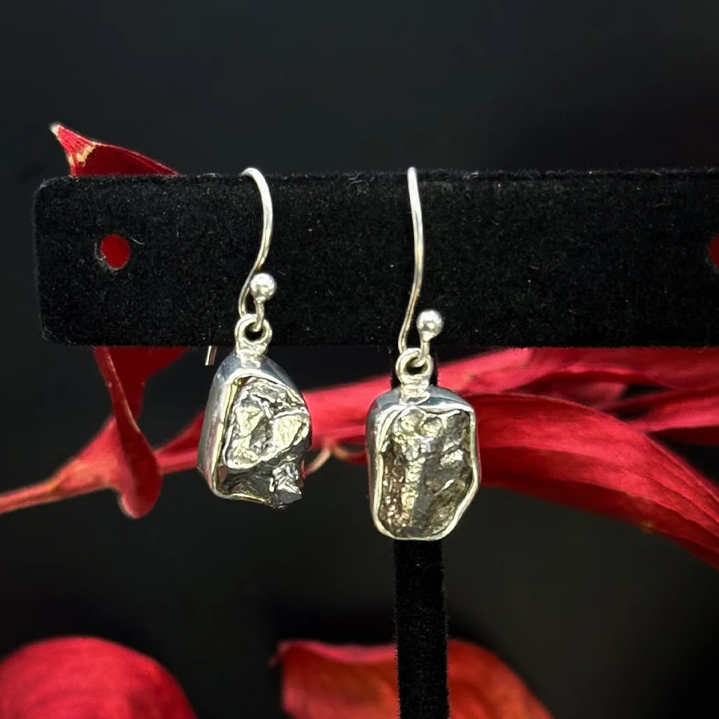 Meteorite Earrings