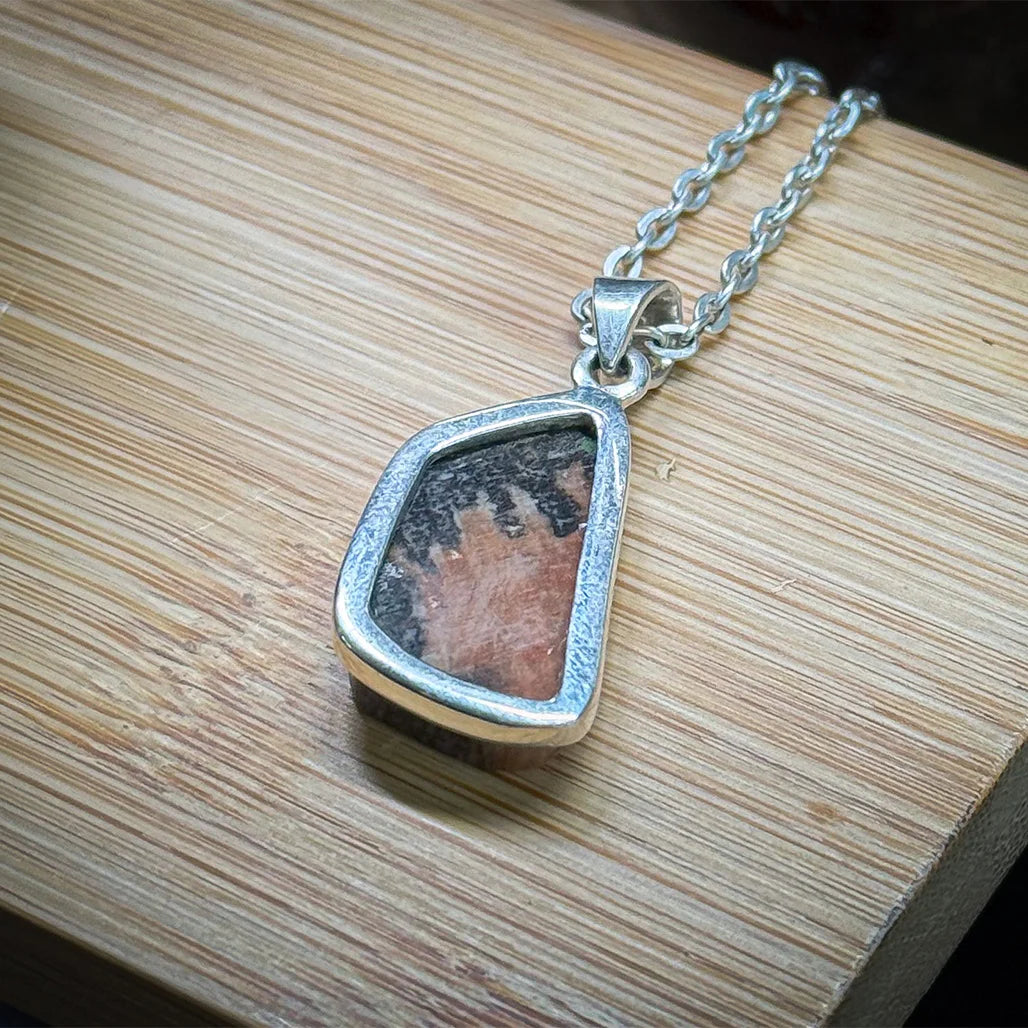 Petrified Wood Pendant