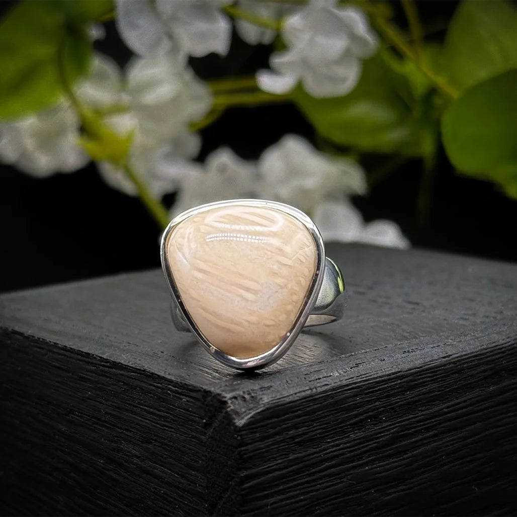 Petrified Palm Wood Ring