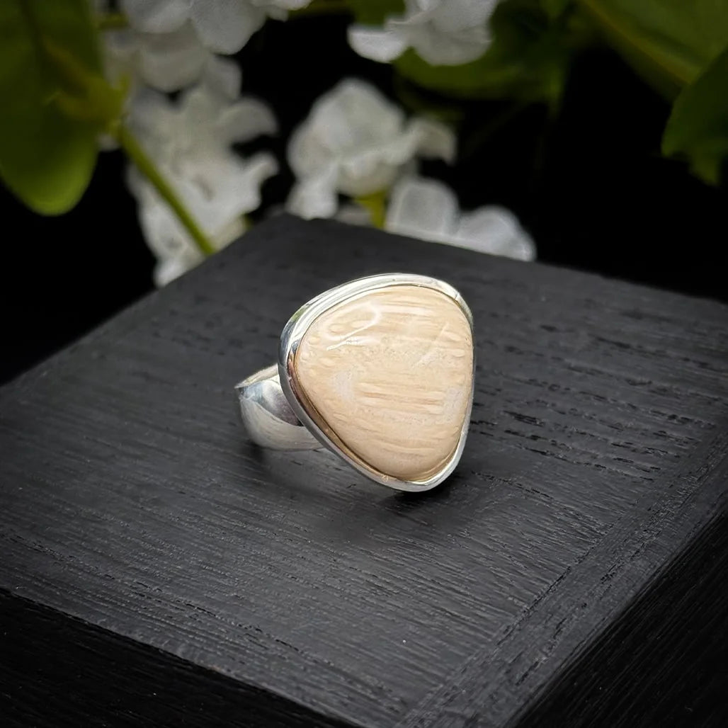 Petrified Palm Wood Ring