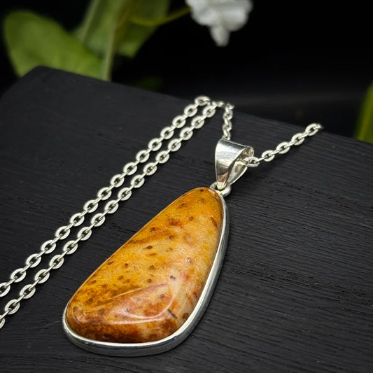 Petrified Palm Wood Pendant