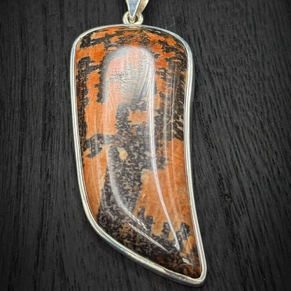 Petrified Wood Pendant