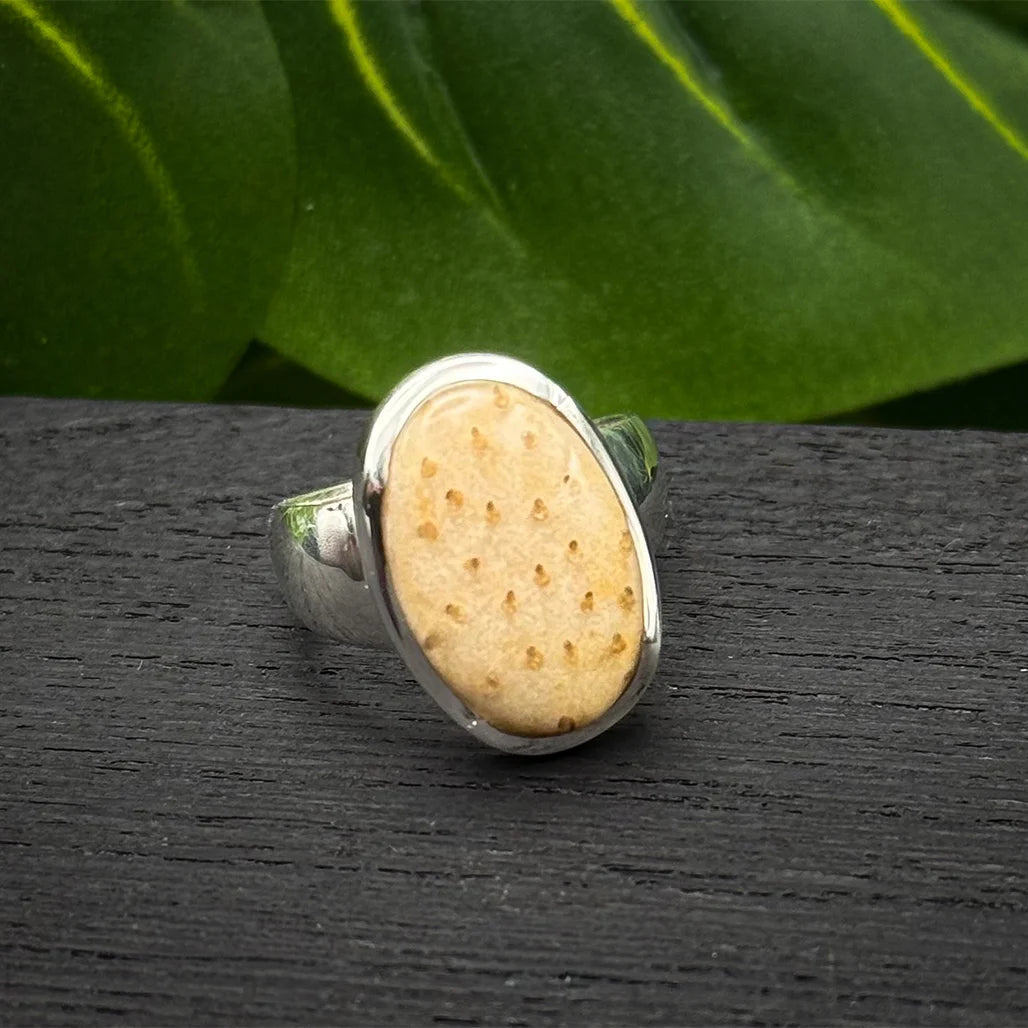 Petrified Palm Wood Ring