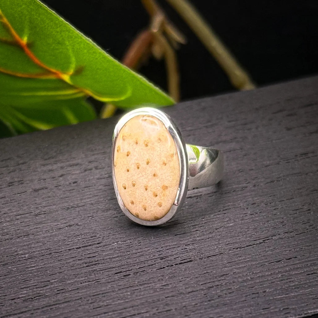 Petrified Palm Wood Ring