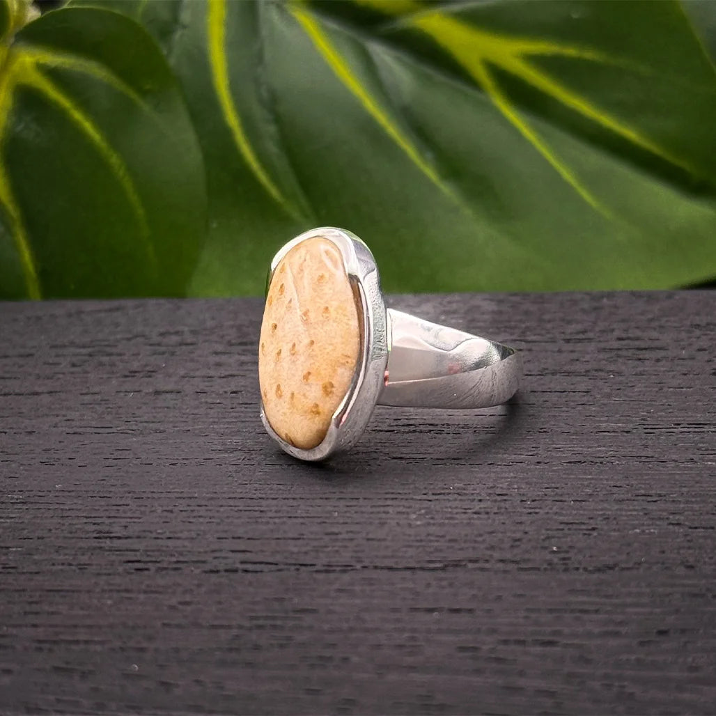 Petrified Palm Wood Ring