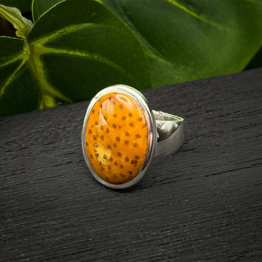 Petrified Palm Wood Ring