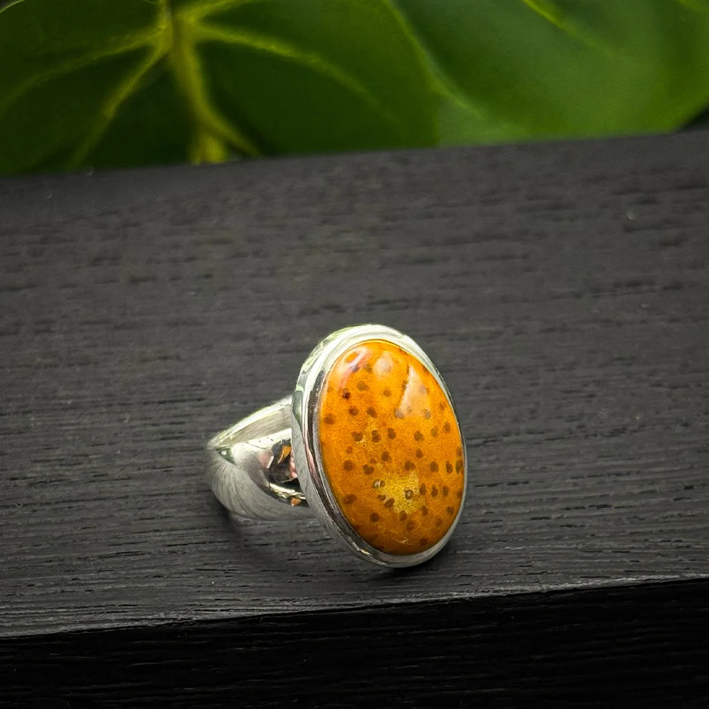 Petrified Palm Wood Ring