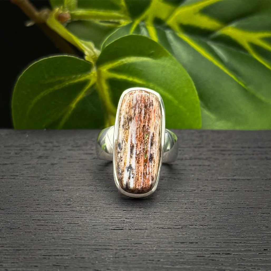 Petrified Wood Ring