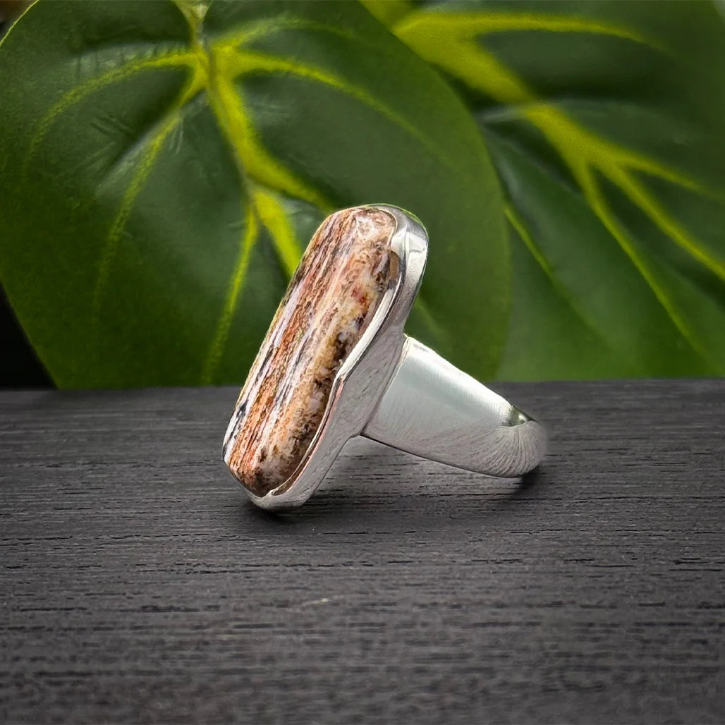Petrified Wood Ring