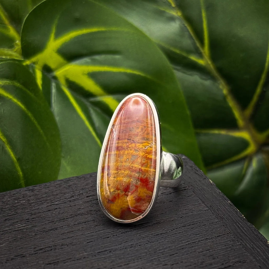 Petrified Wood Ring