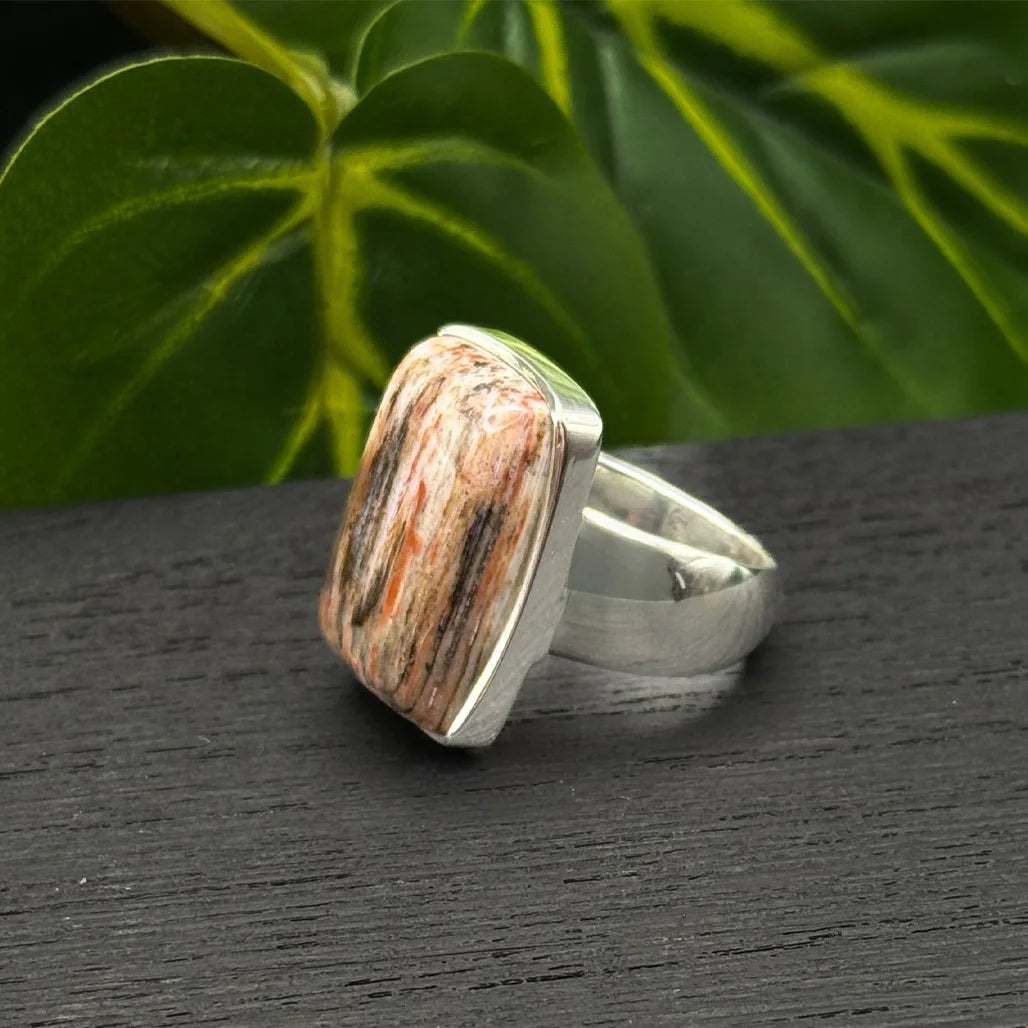 Petrified Wood Ring