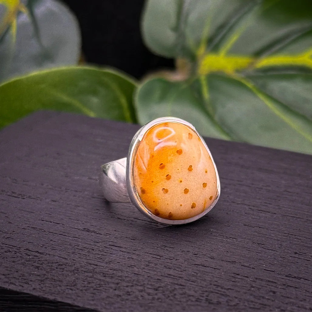 Petrified Palm Wood Ring