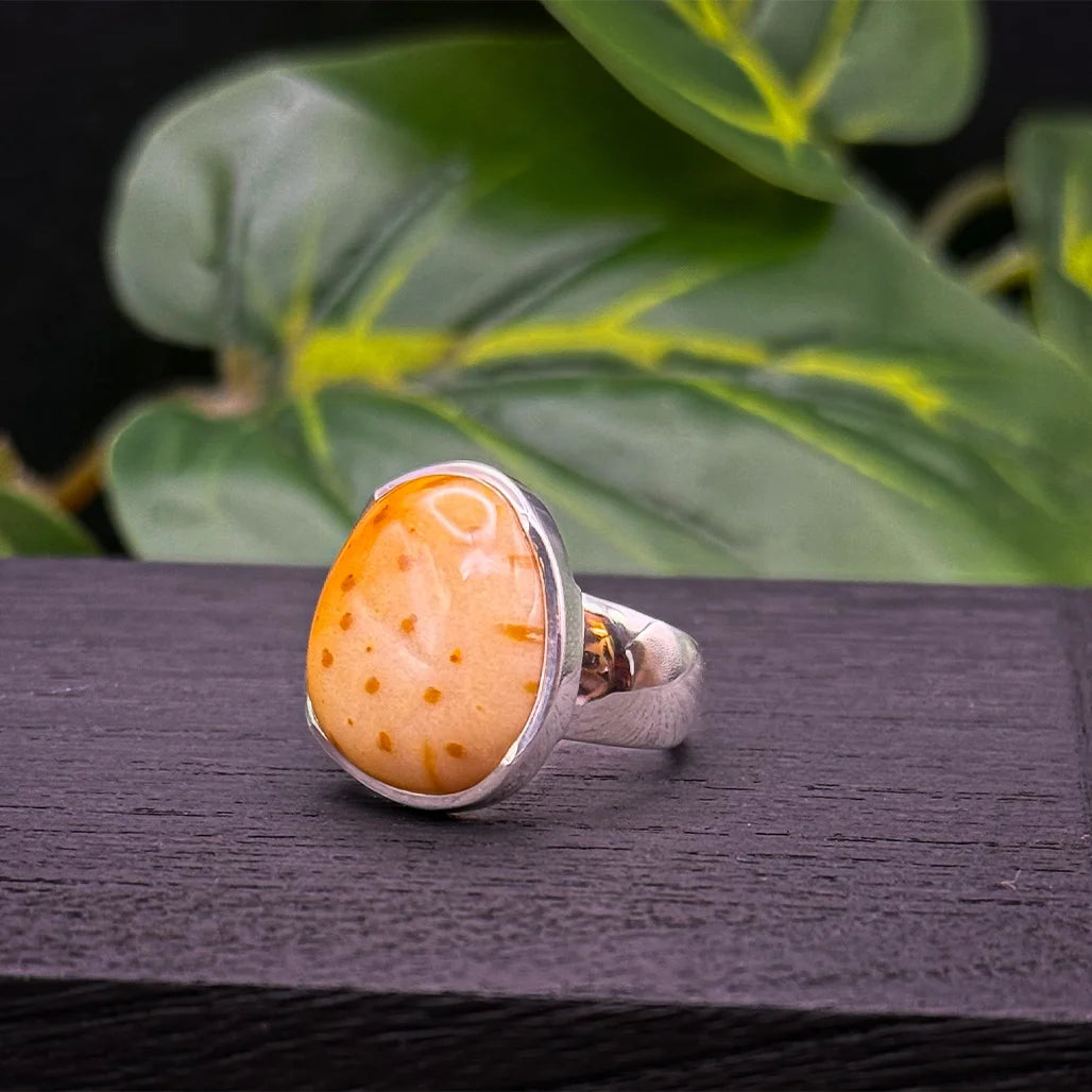 Petrified Palm Wood Ring