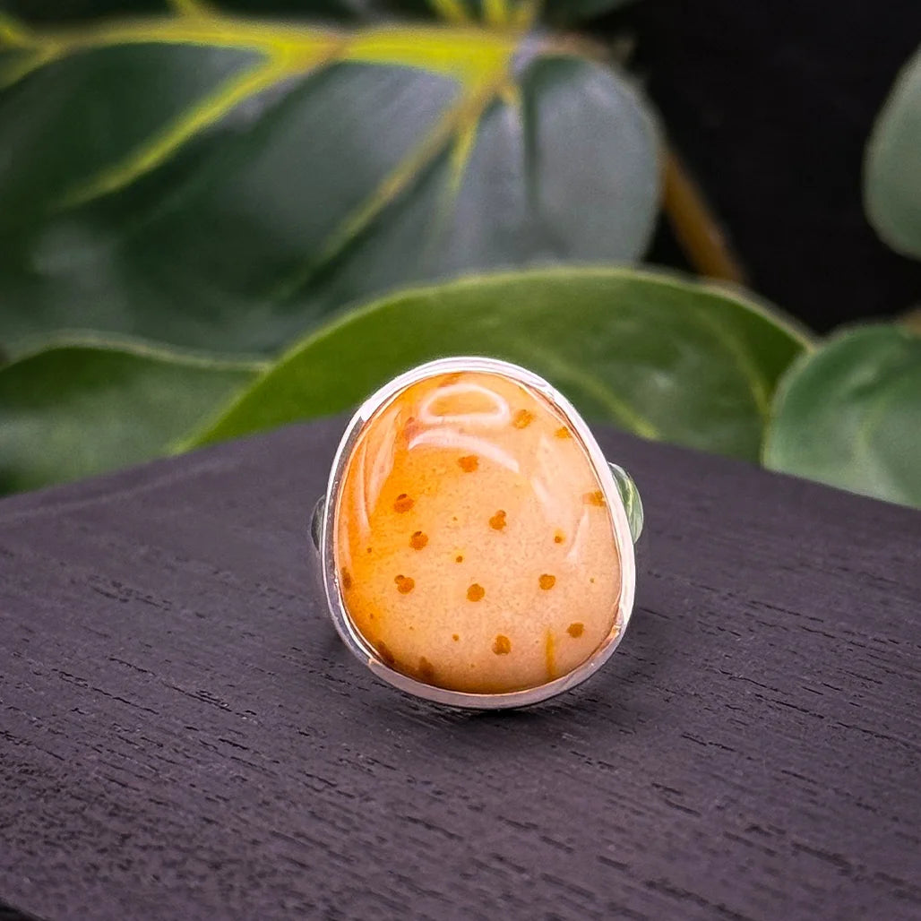 Petrified Palm Wood Ring