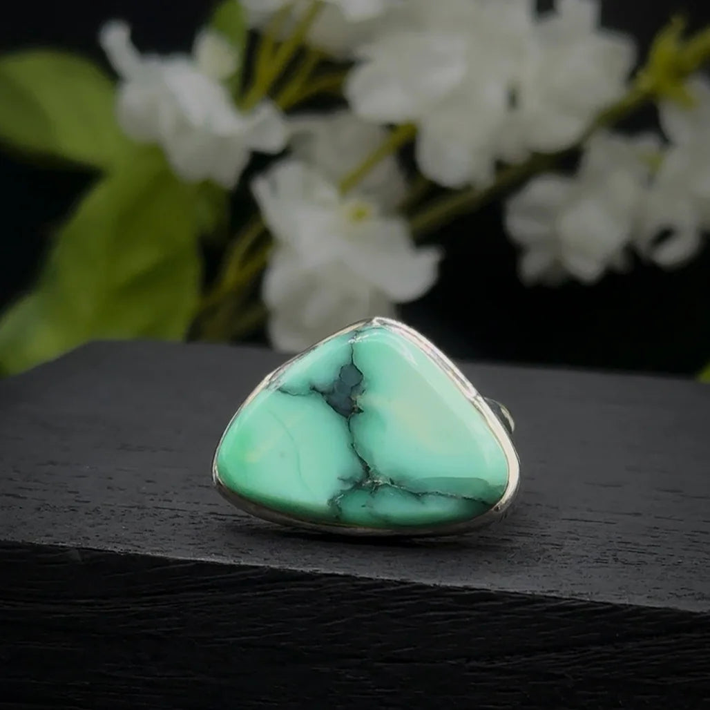 Black Bridge Variscite Ring