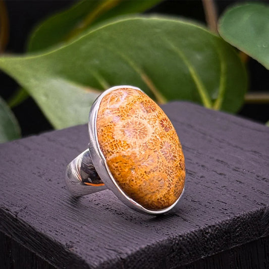 Petrified Coral Ring
