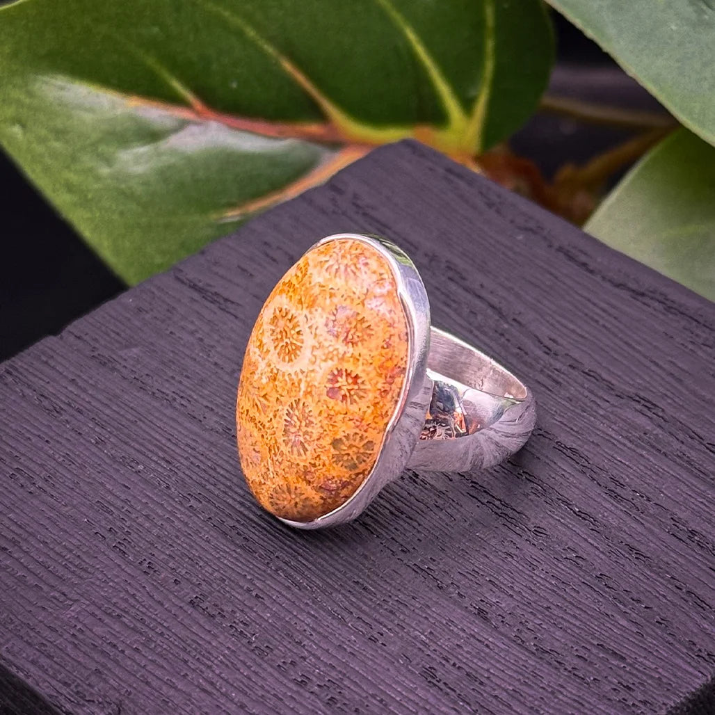 Petrified Coral Ring