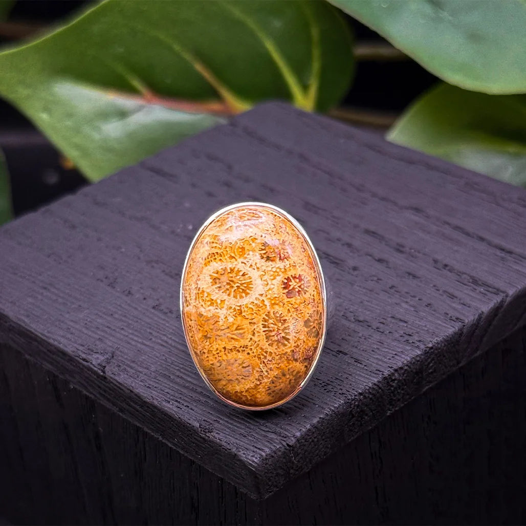 Petrified Coral Ring