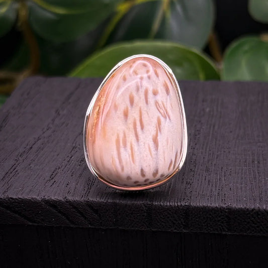 Petrified Palm Wood Ring