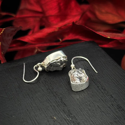 Meteorite Earrings