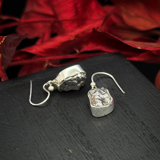 Meteorite Earrings
