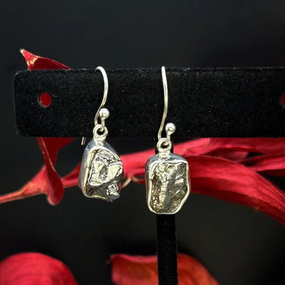 Meteorite Earrings