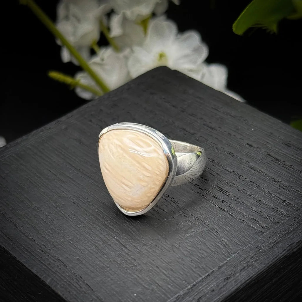 Petrified Palm Wood Ring
